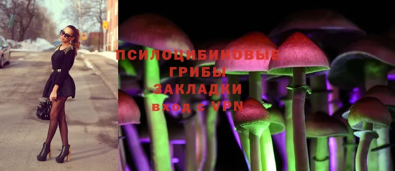 Галлюциногенные грибы Psilocybine cubensis  где купить наркотик  МЕГА ONION  Новое Девяткино 